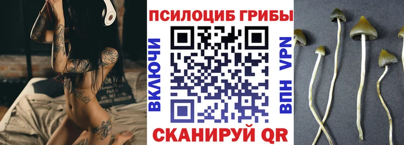 Псилоцибиновые грибы Cubensis Среднеколымск