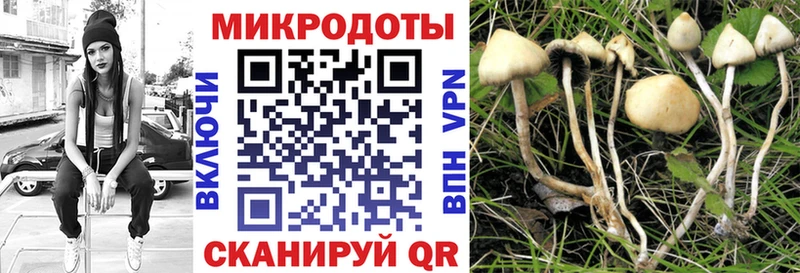 Галлюциногенные грибы Psilocybe  мега ТОР  Среднеколымск 